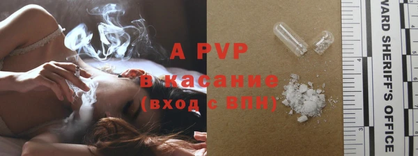 стаф Магас