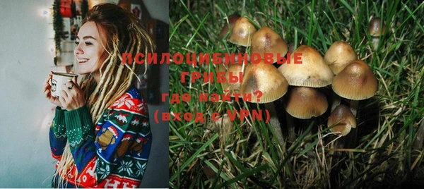 герыч Мегион