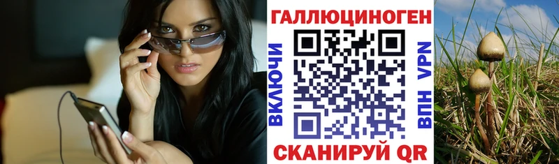 купить   Нижний Новгород  Псилоцибиновые грибы мицелий 