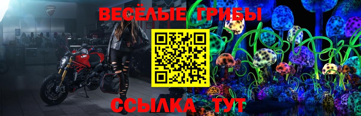 Псилоцибиновые грибы Psilocybe  Вход с VPN  Нижний Новгород 