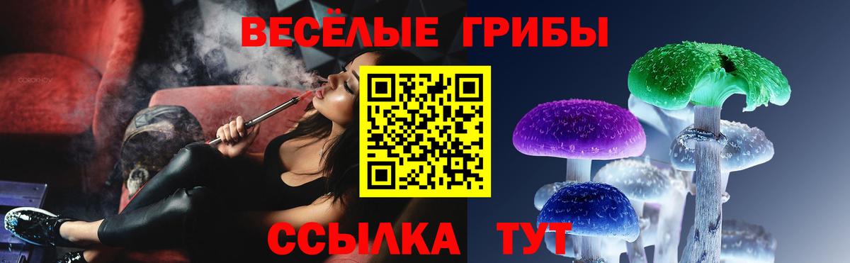 Галлюциногенные грибы мухоморы  где найти   Нижний Новгород 